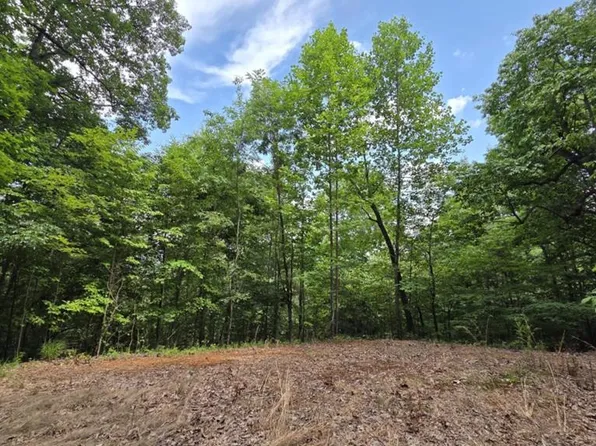 75 Talon Dr #75, Murphy, NC 28906