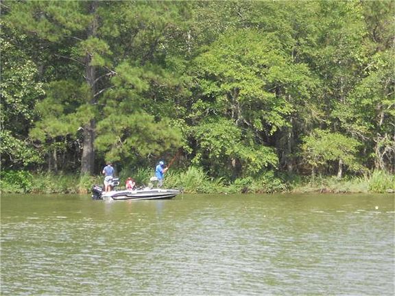 GREAT FISHING