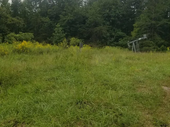 Deer Lodge Hwy, Deer Lodge, TN 37726