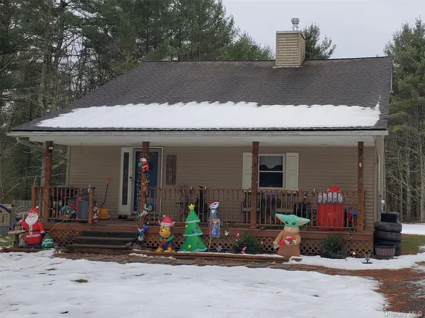 807 Beaver Brook Road, Narrowsburg, NY 12764