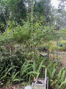 1051 Macon Rd Lot 132, Winter Haven, FL, 33884