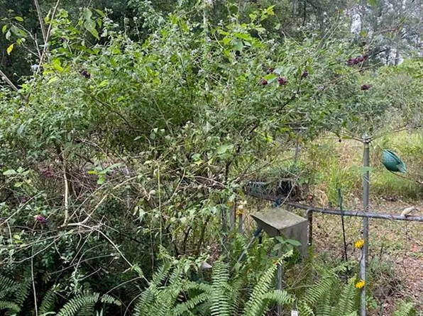 1051 Macon Rd Lot 132, Winter Haven, FL 33884