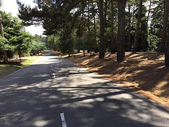 5th image of 13650 Skyline Blvd