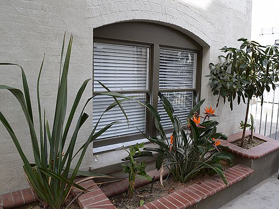 2nd image of 138 Elm Ave APT 12