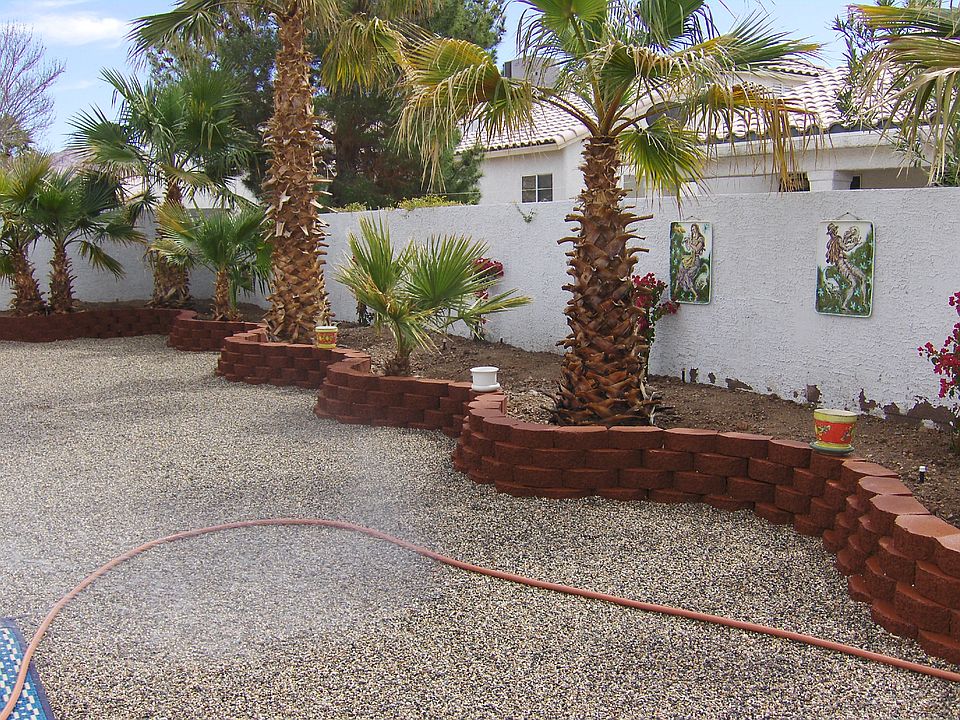 back yard