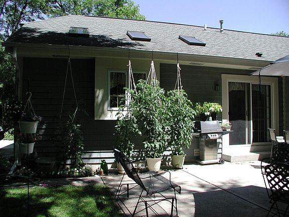 Summer on the patio