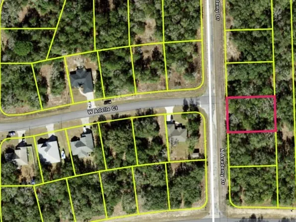 11034 N Academy Dr Lot 3, Dunnellon, FL 34434