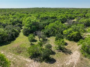 48AC County Road 114, George West, TX 78022