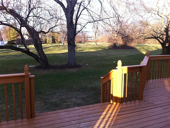 Shaded back yard