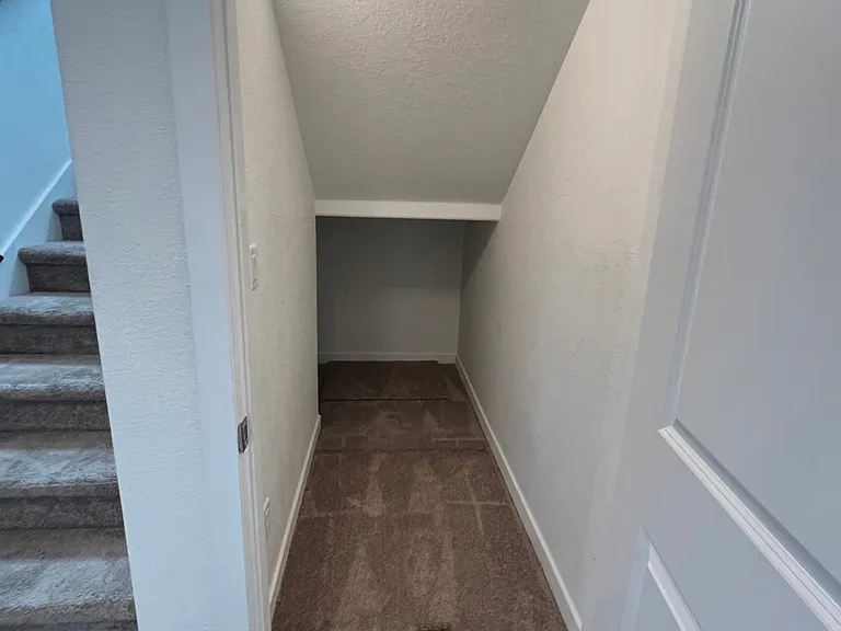 8403 Bijou Creek Ave — Photo 12