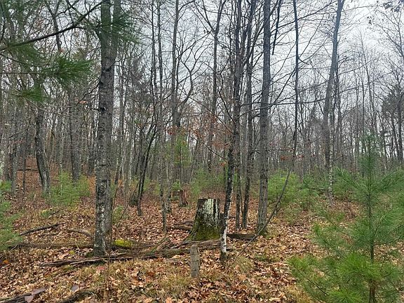 5th image of Roush Rd