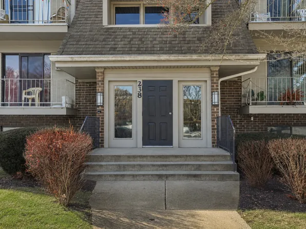 238 E Bailey Rd, Naperville, IL