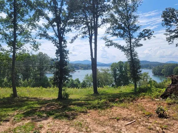 11 Quiet Waters Dr, Hayesville, NC 28904