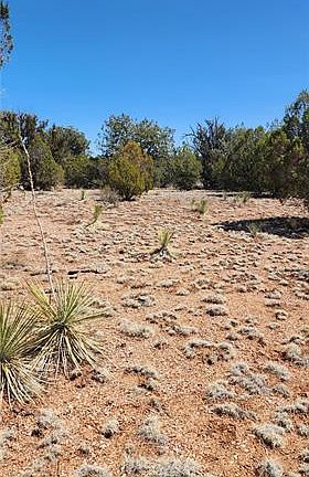 4th image of LOT B&d Roaming Way