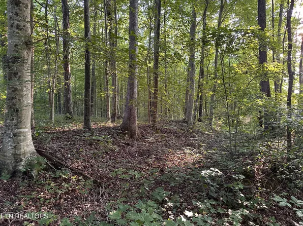 Riverton Rd, Jamestown, TN 38556