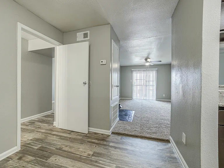 Ashford Santa Cruz Interior