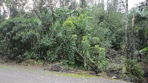 1st image of 12th Ave Lot 1304