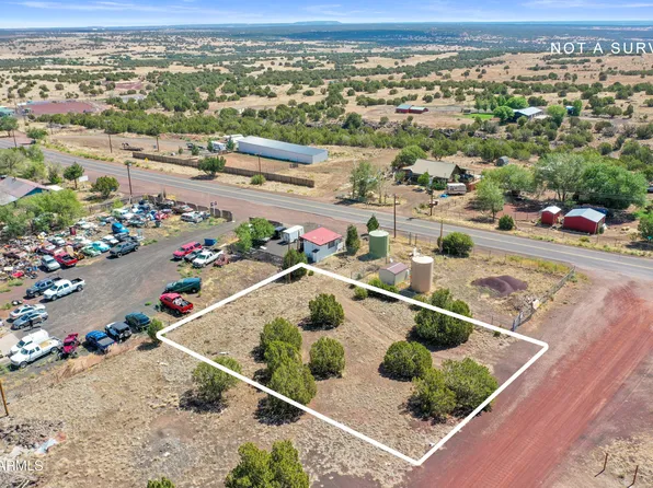 8770 LANCE Drive #90, Show Low, AZ 85901