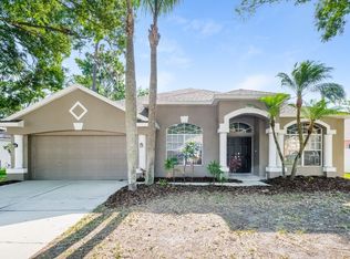 3720 Hollow Wood Dr, Valrico, FL 33596