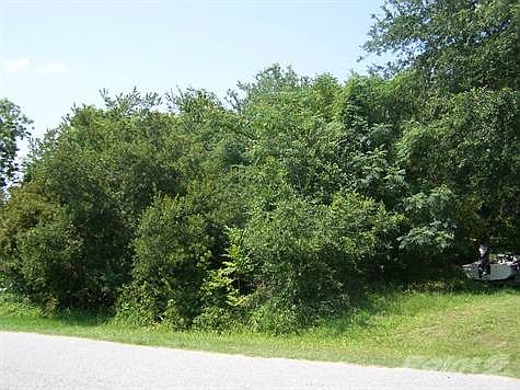 The vacant lot gives lots of privacy