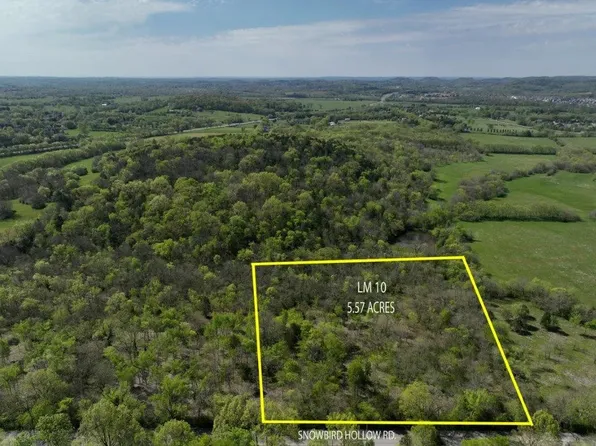 0 Snowbird Hollow Rd E Lot Lm 10, Franklin, TN 37064