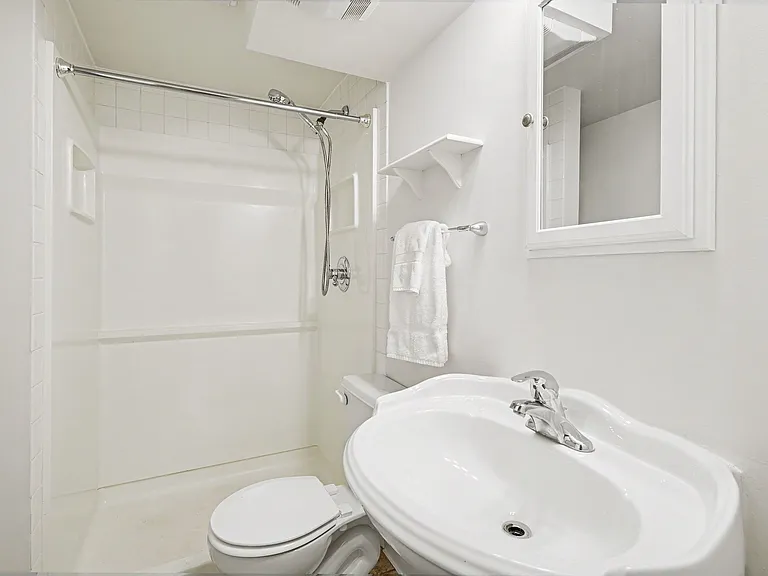 Lower level bathroom