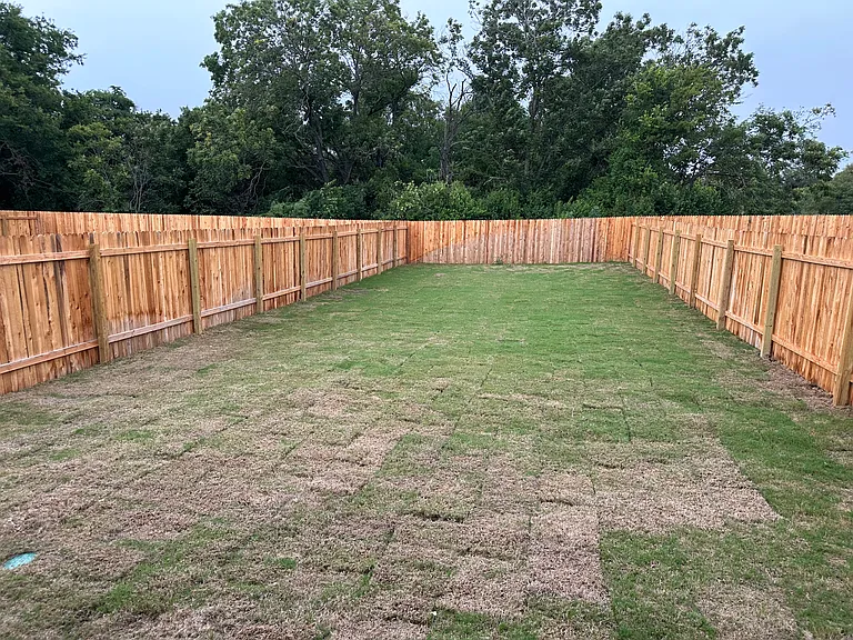 Lehmann Dr — Photo 10