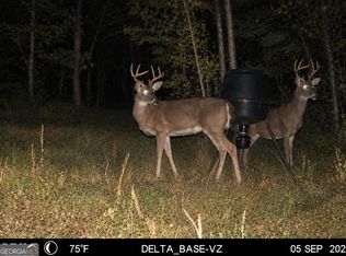 Jordon Rd, Waverly Hall, GA 31831