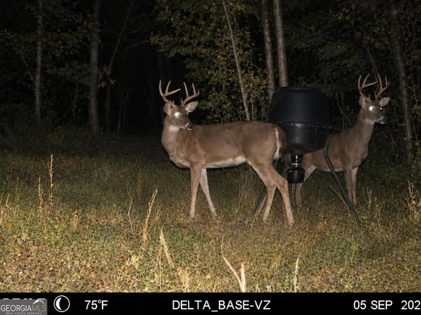 Jordon Rd, Waverly Hall, GA 31831
