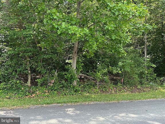 3rd image of 45025 Nolan Ct