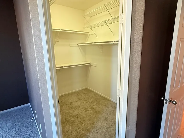 Primary bedroom with walk-in closet, first floor