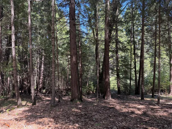 17889 Lightfoot Way, Nevada City, CA 95959