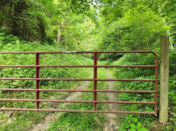 0 Dr Taylor Ln, Mountain City, TN 37683