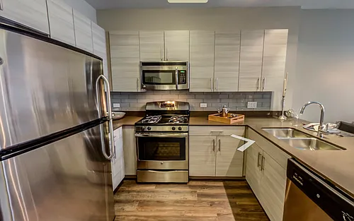 1154 W Madison St #523 Photo 1