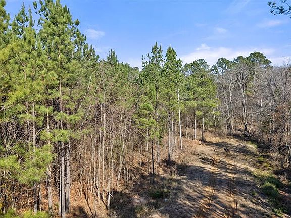 2nd image of 323 Marked Pine Ln