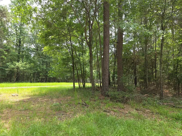 Loper Lake Dr, Livingston, TX 77351
