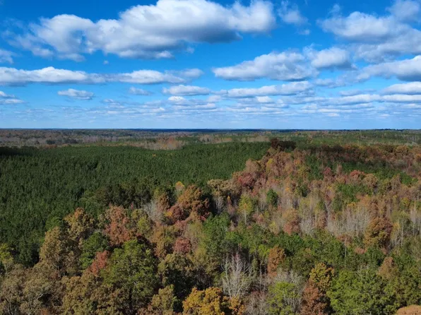 County Road 16, Dennis, MS 38838