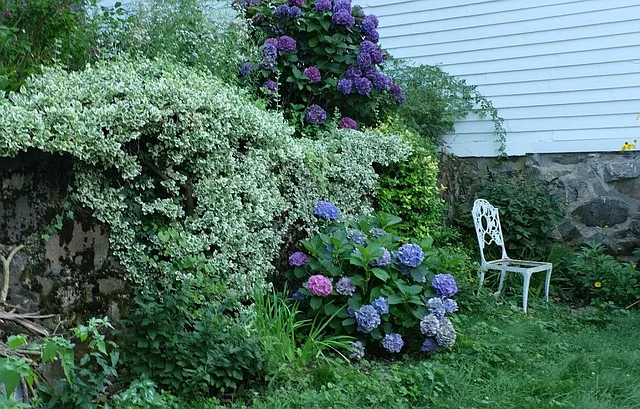 12 Bassett St #12 — Photo 37
