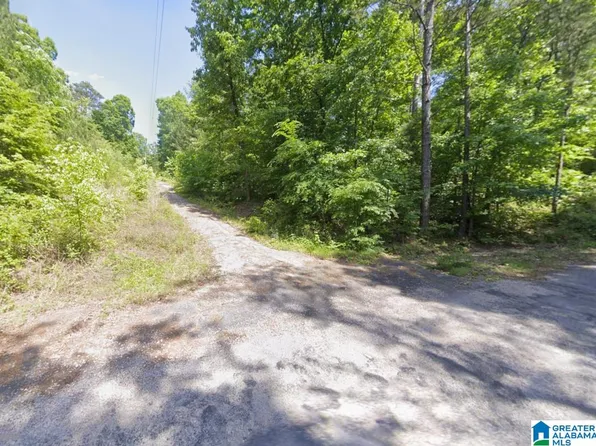 130 Evergreen Dr, Springville, AL 35146