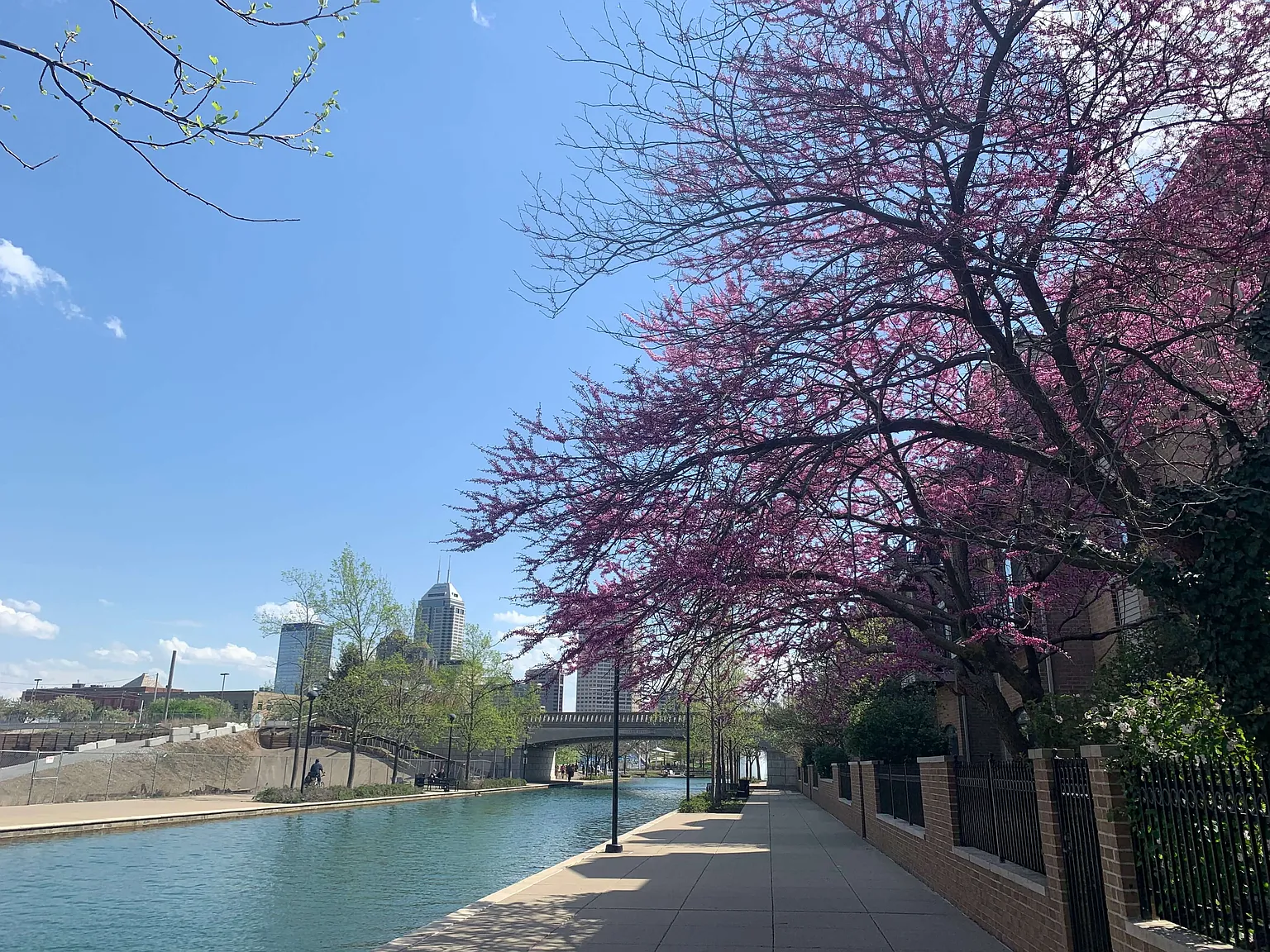 Gardens of Canal Court — Photo 4