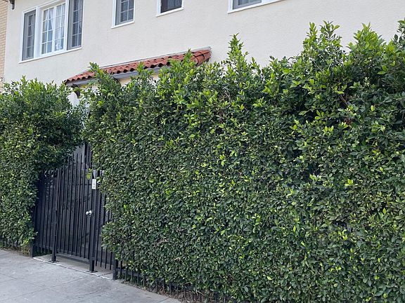 2nd image of 5548 1/2 Sierra Vista Ave #5548-1/2