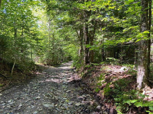 0 Fall Brook Road UNIT #4, Wheelock, VT 05851