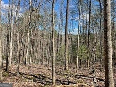 0 Gold Valley Rd, Sautee Nacoochee, GA, 30571