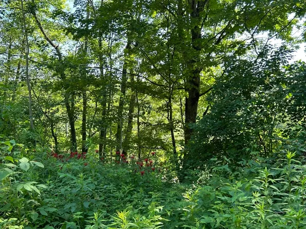 2871 Texas Hill Road, Hinesburg, VT 05461