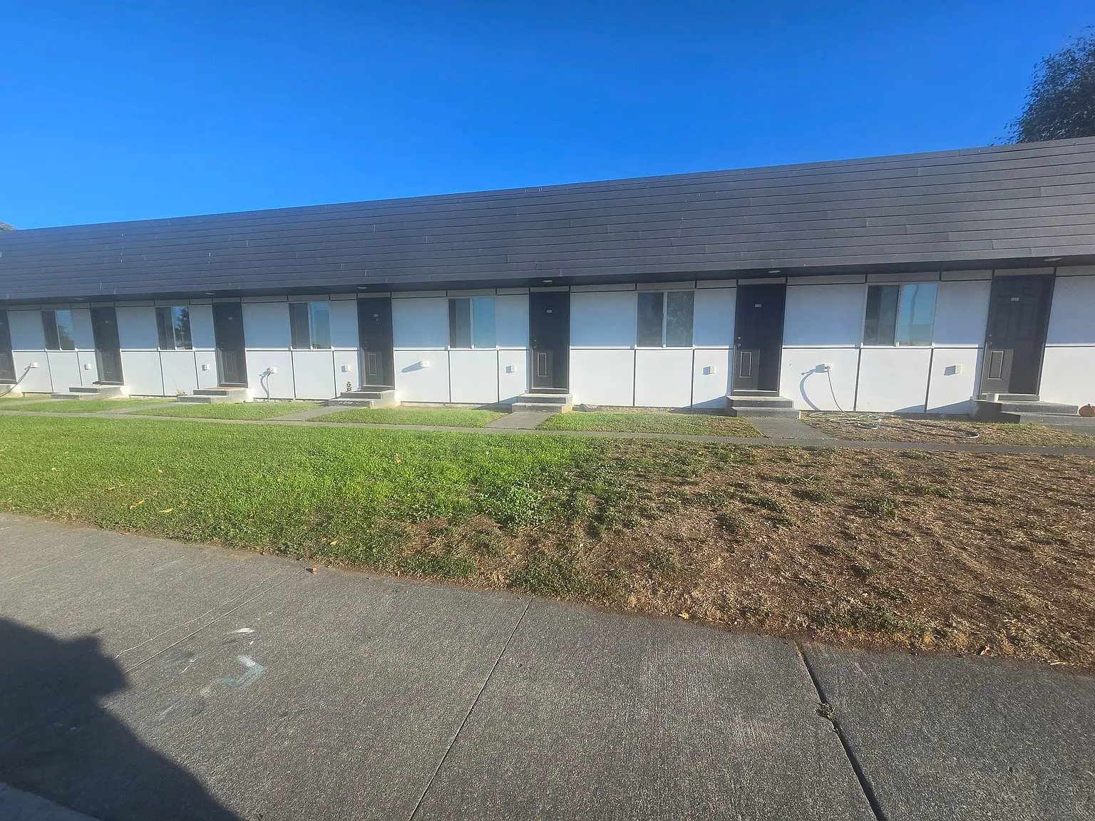 Renovated Studio Available Now! — Photo 3