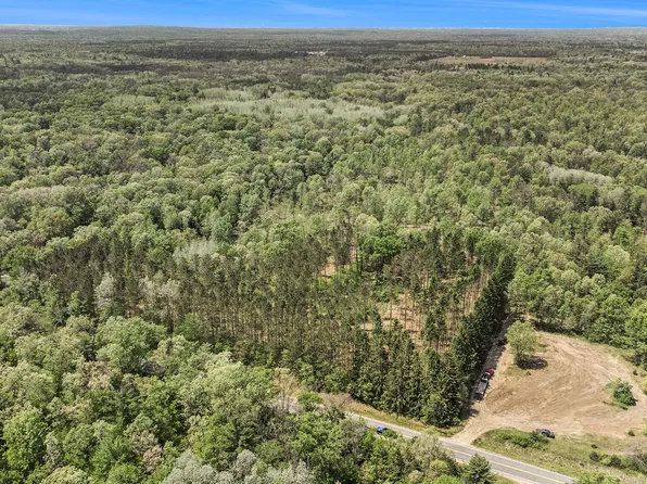 PARCEL N Amy School Rd #C, Howard City, MI 49329