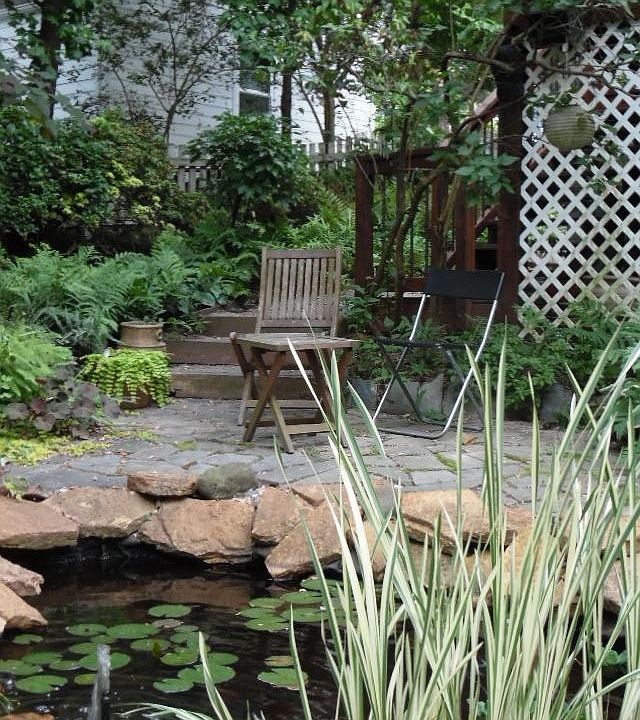backyard-- a quiet oasis
