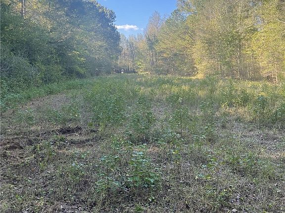 5th image of 0 County Road 93