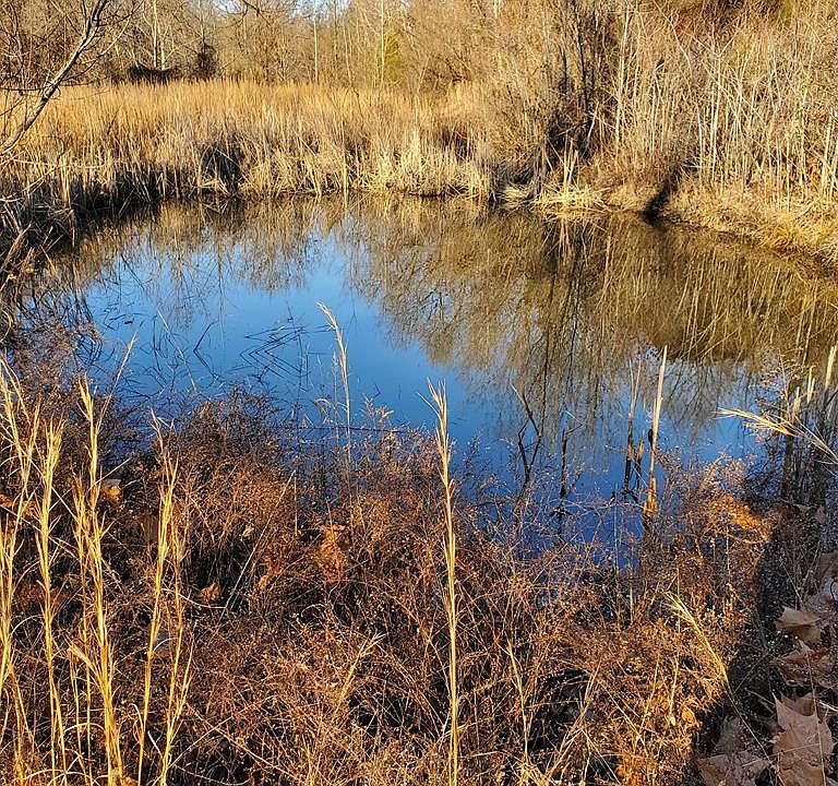 1st image of 179 Tooth Acres Ln