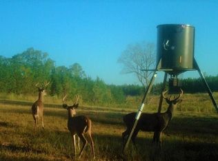 7453 Mount Zion Rd, Ramer, AL 36069